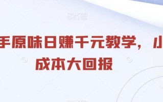 二手原味日赚千元教学，小成本大回报
