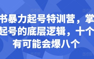 小红书暴力起号特训营，掌握小红书起号的底层逻辑，十个帖真有可能会爆八个