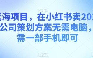 蓝海项目，在小红书卖2024年公司策划方案无需电脑，只需一部手机即可