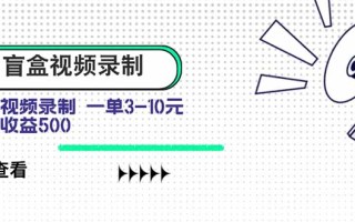 盲盒视频录制项目 简单录制视频 一单3-10元 单号收益500