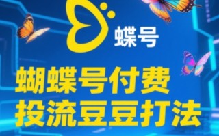 渔财老师·2025蝴蝶号付费投流豆豆打法