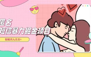 全网首发，揭秘超冷门匿名短信项目，通过信息差日入几百+【揭秘】