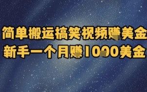 简单搬运搞笑视频挣美金，新手一个月入1k美金