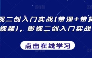 影视二创入门实战(带课+带货+中视频)，影视二创入门实战课