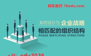 如何设计与企业战略相匹配的组织结构（5集） mp4高清无水印视频教程网盘免费下载