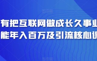 只有把互联网做成长久事业才能年入百万及引流核心课