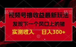 视频号分成计划最新玩法，单条作品几分钟制作完成,日入300+，过年前最后的冲刺