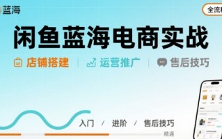 闲鱼蓝海电商实战，店铺搭建运营售后全流程