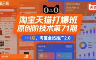 淘宝天猫打爆班原创高阶技术第71期，淘宝全站推广2.0