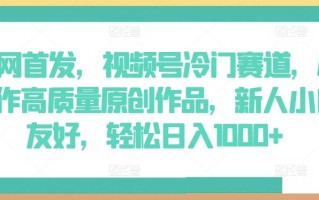 全网首发，视频号冷门赛道，AI制作高质量原创作品，新人小白友好，轻松日入1000+【揭秘】