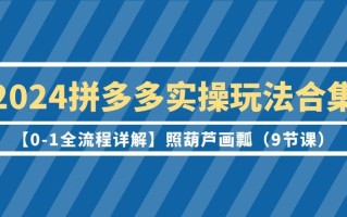 (9559期)2024拼多多实操玩法合集【0-1全流程详解】照葫芦画瓢(9节课)