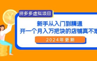 (9744期)拼多多虚拟项目：入门到精通，开一个月入万把块的店铺 真不难(24年更新)