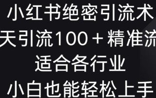 小红书绝密引流术，一天引流100+精准流量，适合各个行业，小白也能轻松上手【揭秘】