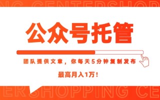 【公众号托管 】我提供文章，你每天５分钟复制发布，最高月入1W