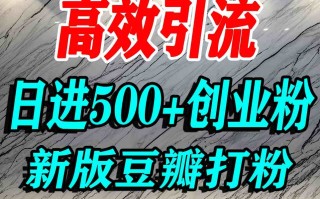 豆瓣打精准创业粉，老平台有老平台优势，努力做日进500+流量不是问题