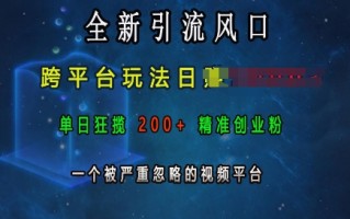 全新引流风口，跨平台玩法日入上k，单日狂揽200+精准创业粉，一个被严重忽略的视频平台