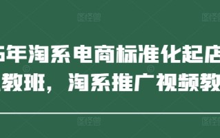 2025年淘系电商标准化起店流程私教班，淘系推广视频教程