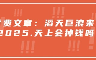 付费文章：滔天巨浪来袭！2025天上会掉钱吗？