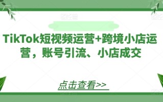 TikTok短视频运营+跨境小店运营，账号引流、小店成交