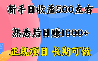一台电脑，前期日收益300-500，熟练后日入1000左右
