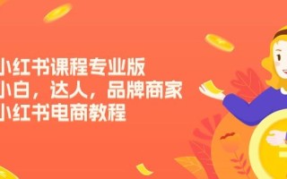小红书课程专业版，小白，达人，品牌商家，小红书电商教程(15节