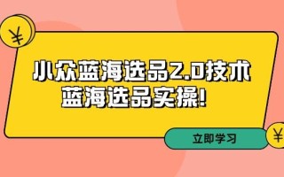 拼多多培训第33期：小众蓝海选品2.0技术-蓝海选品实操！