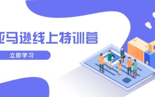 亚马逊线上特训营，新品成长与库存规划，提升品牌推广能力，实现业务增长