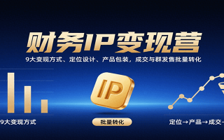 财务IP变现营：9大变现方式、定位设计、产品包装，成交与群发售批量转化