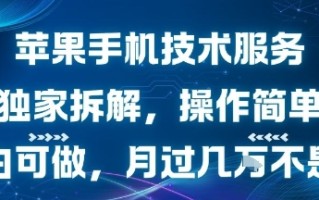 苹果手机技术服务，独家拆解，操作简单，小白可做，月过1W不是梦