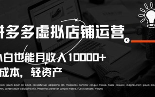 拼多多虚拟店铺运营小白也能月收入10000+【揭秘】