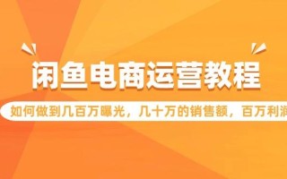 (9560期)闲鱼电商运营教程：如何做到几百万曝光，几十万的销售额，百万利润