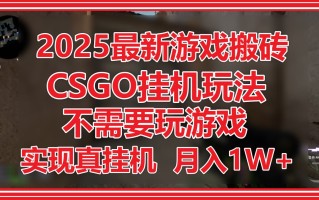 2025最新游戏搬砖，CSGO挂机，不需要玩游戏，实现真挂机，月入1W+