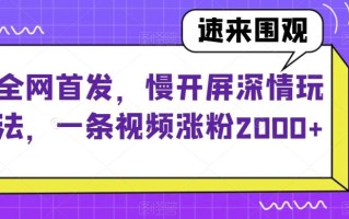 全网首发，慢开屏深情玩法，一条视频涨粉2000+【揭秘】