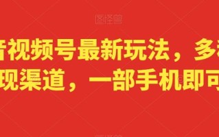 抖音视频号最新玩法，多种变现渠道，一部手机即可