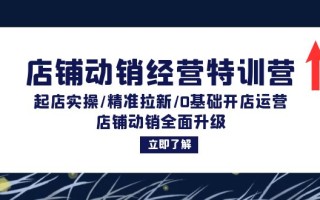 店铺动销经营特训营：起店实操/精准拉新/0基础开店运营/店铺动销全面升级