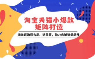 淘宝天猫小爆款矩阵打造：涵盖蓝海词布局、选品等，助力店铺销量飙升