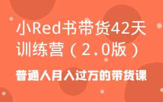 小Red书带货42天训练营(2.0版)普通人月入过万的带货课