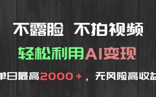 不露脸，不拍视频，轻松利用AI变现，单日最高2000＋，无风险高利润