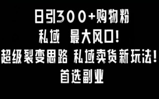日引300+购物粉，超级裂变思路，私域卖货新玩法，小红书首选副业【揭秘】