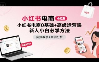 小红书电商0基础+高级运营课，新人小白必学方法，实操教学+案例分析