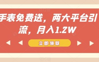 手表免费送，两大平台引流，月入1.2W【揭秘】