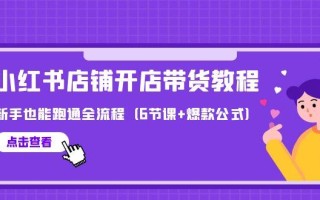 (9883期)最新小红书店铺开店带货教程，新手也能跑通全流程(6节课+爆款公式)