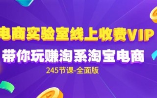 (9859期)电商-实验室 线上收费VIP，带你玩赚淘系淘宝电商(245节课-全面版)