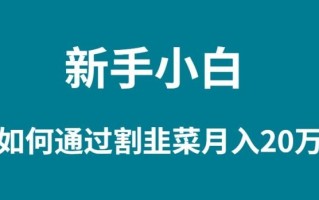 (9308期)新手小白如何通过割韭菜月入 20W