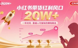 一年时间靠小红书带货项目年入20w+，最不能错的大红利项目