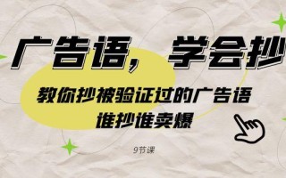 广告语，学会抄！教你抄被验证过的广告语，谁抄谁卖爆(9节课)
