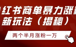 小红书商单暴力涨粉新玩法两个半月涨粉一万（揭秘）