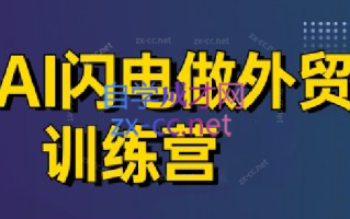 大卫·AI闪电做外贸训练营(更新6月)