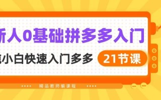 新人0基础拼多多入门，​纯小白快速入门多多(21节课