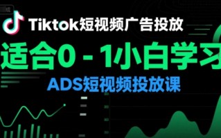 Tiktok短视频广告投放，适合0-1小白学习ADS短视频投放课